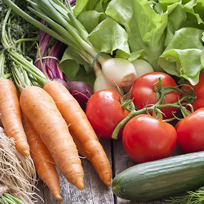 Potager